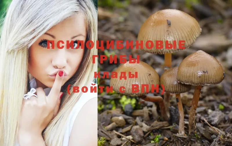 Галлюциногенные грибы Magic Shrooms Балашов